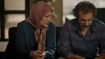 کارگردان«پایتخت»: با عزت و احترام با خرس برخورد کردیم 