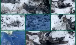 انهدام یک فروند موشک کروز در روستای جاسب  + عکس 