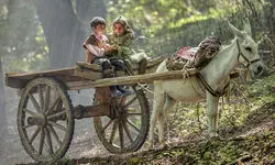 فیلمبرداری «روماک» به پایان رسید