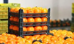 ذخایر کافی میوه‌های شب عید وجود دارد؛ نظارت بر خرده‌فروشی‌ها