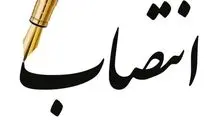 سرپرست صندوق توسعه حمل و نقل معرفی شد