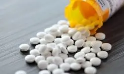 شناسایی و انهدام کارگاه تولید قرص‌های مخدر و روانگردان در شهریار