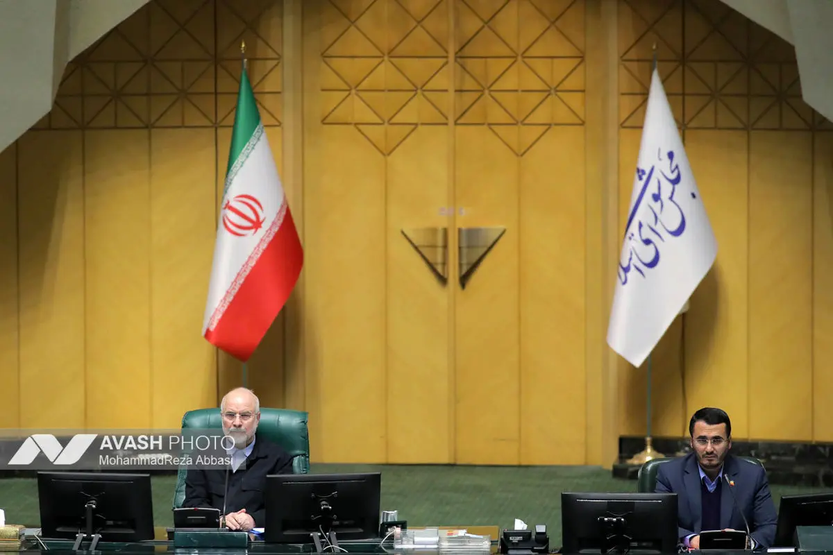 صحن علنی مجلس - ۲ دی