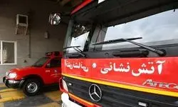هشدار فوری آتش نشانی این شهر درباره جولان مارها