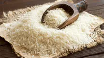 کاهش ۱۵ تا ۲۰ درصدی نرخ برنج شمال و برنج‌های وارداتی