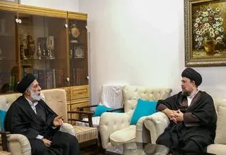 سیدحسن خمینی با سیدهادی خامنه‌ای دیدار کرد