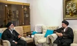 سیدحسن خمینی با سیدهادی خامنه‌ای دیدار کرد