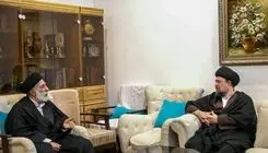سیدحسن خمینی با سیدهادی خامنه‌ای دیدار کرد