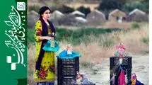 بخش‌های جنبیِ بین‌الملل در جشنواره فیلم کوتاه تهران معرفی شدند