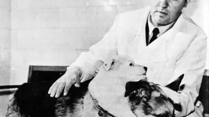 آیا بشر به دانش «پیوند سر» دست پیدا کرده است؟