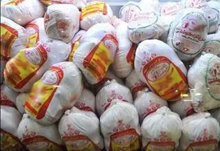 استان گلستان رکورددار بیش‌ترین تعداد و وزن تولید مرغ در کشور 