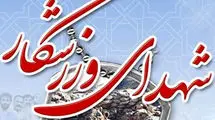 قهرمان ووشوی ایران به شهادت رسید