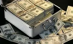 ۴۴ نفر بازداشت شدند/ اخطار به اجاره‌دهندگان کارت‌های بازرگانی