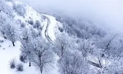 بارش اولین برف زیبا در گردنه مهاباد-سردشت/ ببینید