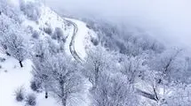 بارش شدید برف در جادهٔ ازنا-اراک +فیلم