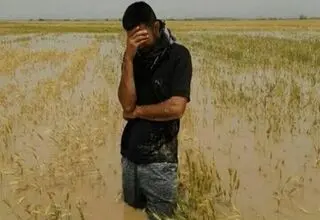 هشدار به کشاورزان؛ احتمال خسارت سنگین در روز پنج شنبه