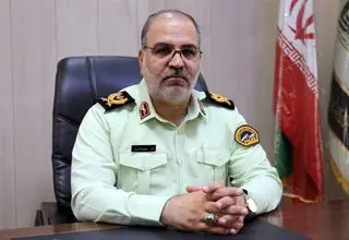 سارقان دستگیرشده تا پایان محکومیت آزاد نمی‌شوند