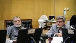 بازرسان آژانس فقط از نیروگاه اتمی بوشهر بازدید کردند   