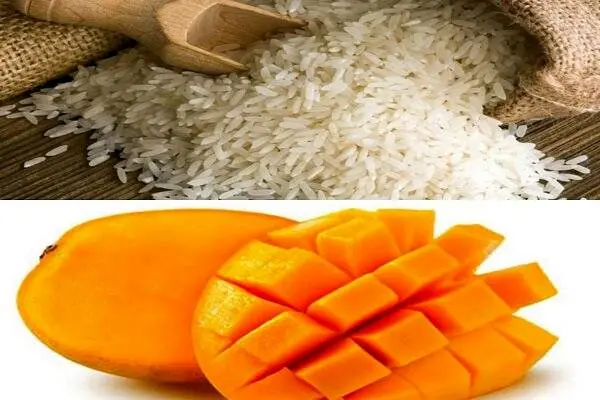 آغاز ثبت سفارش دوره جدید «برنج» و «انبه» از امروز ۱۰ خرداد