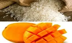 آغاز ثبت سفارش دوره جدید «برنج» و «انبه» از امروز ۱۰ خرداد