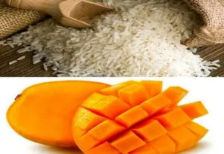 آغاز ثبت سفارش دوره جدید «برنج» و «انبه» از امروز ۱۰ خرداد