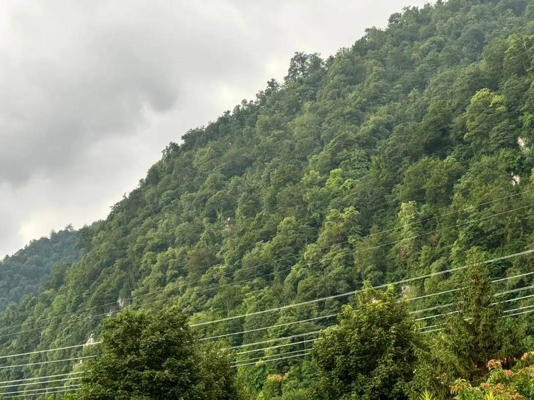 انسداد مسیرهای منتهی به جنگل‌های نوشهر