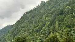 انسداد مسیرهای منتهی به جنگل‌های نوشهر