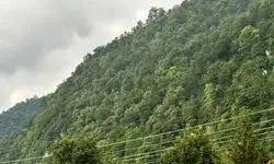 انسداد مسیرهای منتهی به جنگل‌های نوشهر