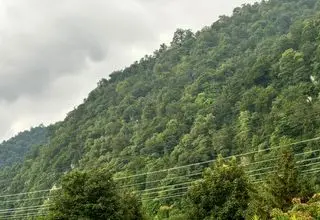 انسداد مسیرهای منتهی به جنگل‌های نوشهر