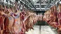 کمبودی در زمینه گوشت قرمز وجود ندارد