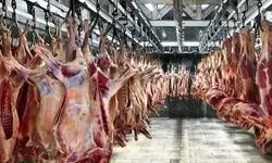 قیمت هر کیلو گوشت منجمد گوساله یک میلیون و ۳۰۰ هزار تومان