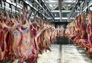 خداحافظی با گوشت تنظیم بازاری؟