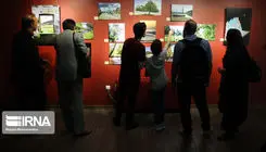 «روز ماقبل آخر» تا «دوران شکوه» روی دیوار گالری‌ها