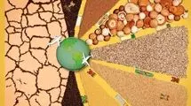 جنگ کود و بحران امنیت غذایی در 5 قاره/ چگونه محاصره تنکه هرمز به چالش کشاورزی جهان تبدیل شد؟