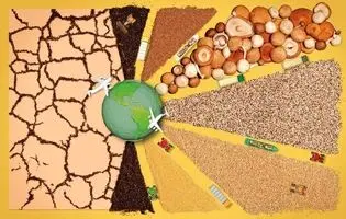 جنگ کود و بحران امنیت غذایی در 5 قاره/ چگونه محاصره تنکه هرمز به چالش کشاورزی جهان تبدیل شد؟