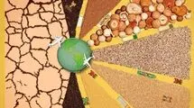 جنگ کود و بحران امنیت غذایی در 5 قاره/ چگونه محاصره تنکه هرمز به چالش کشاورزی جهان تبدیل شد؟
