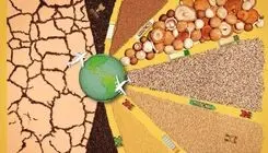 جنگ کود و بحران امنیت غذایی در 5 قاره/ چگونه محاصره تنکه هرمز به چالش کشاورزی جهان تبدیل شد؟