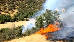 آتش‌سوزی گسترده اینبار در جنگل‌های سوادکوه +جزئیات جدید