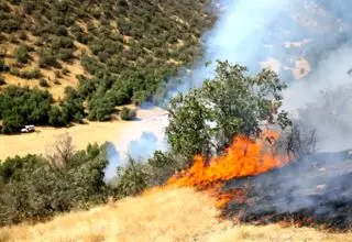 آتش‌سوزی گسترده اینبار در جنگل‌های سوادکوه +جزئیات جدید