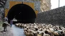 انسداد  ۲۴ ساعته محور کرج-چالوس و تهران-شمال
