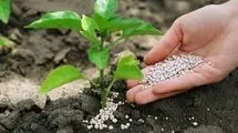 کودهای ازته توسط شرکت های پتروشیمی داخلی تولید و مازاد آن صادر می شود