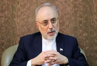 صالحی: توافق اخیر ایران و آژانس گامی رو به جلو است