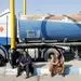 افغانستان بالاخره زهرش را به ایران ریخت