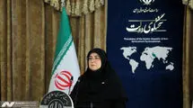 سخنگوی دولت: ما از جنس اقیانوسیم