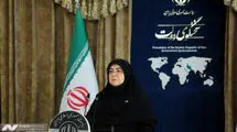 سخنگوی دولت: ما از جنس اقیانوسیم