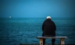 بازار اجاره هم‌صحبت داغ شد/ پشت پرده مساله تنهایی و همراه اجاره‌ای در ایران امروز چیست؟