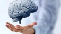 ۵ خوراکی که مغزتان را قویتر و حافظهتان را بهتر میکند