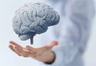 ۵ خوراکی که مغزتان را قوی‌تر و حافظه‌تان را بهتر می‌کند