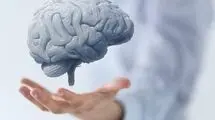 ۵ خوراکی که مغزتان را قوی‌تر و حافظه‌تان را بهتر می‌کند