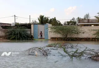 موج‌سواری در خیابان‌های بندرعباس پس از سیل سوژه شد
